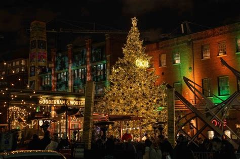 dior tree christmas market|distillery district toronto christmas lights.